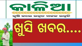 #କାଲିଆ ଯୋଜନା 2024