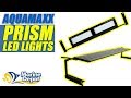 AquaMaxx Prism LED Lights: What YOU Need to Know