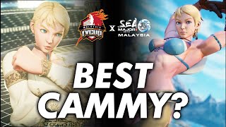 2019 TOP SFV CAMMY IN THE WORLD! Cygames Beast Gamerbee! #FVXSEAM2019