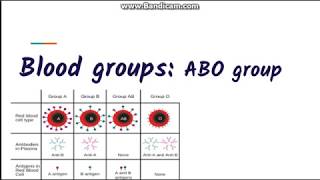 Blood grouping : ABO blood group system