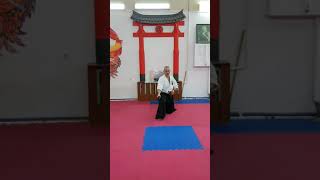 Genko Nito Ryu Iaido Iai Zagi Kihon 5