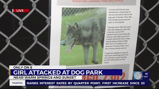 Girl, 6, attacked at dog park, owner and dog flee