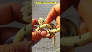 part.4 the best way to tie a rope to a hook #knots #knotting #diy #tips #shorts #shortsfeed