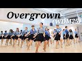Overgrown LINEDANCE (WDM25)/토동 10~12시/중급라인댄스/Choreo:Fred Whitehouse/라인댄스배우는곳 010-5469-9632 민정희 