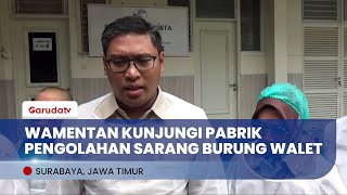 Wamentan Teruskan Program Hilirisasi Produk Sarang Walet, PDB Meningkat!