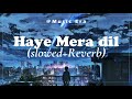 Haye Mera Dil [Slowed + Reverb] Alfaaz | Honey Singh |Lofi Music