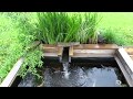 best koi pond design! best koi pond design!