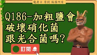 【龍爵士】千問千答 Q186-加粗鹽會破壞硝化菌跟光合菌嗎