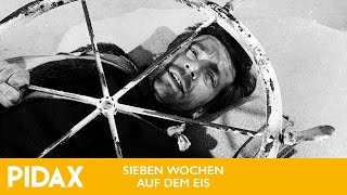 Pidax - Sieben Wochen auf dem Eis (1967, Fritz Umgelter)