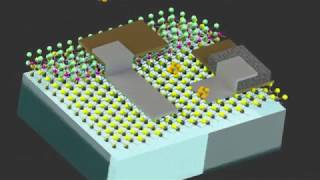 Cell-sized Robots can sense their environment