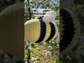 you can crochet this cute little 🐝 bee. i’ll teach you crochetbee crochettutorial