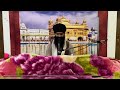 rehras sahib ਰਹਰਾਸਿ ਸਾਹਿਬ रहिरास live rehras rehraas sahib path nitnem gurbani