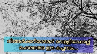 #നിങ്ങൾക്കറിയാമോ? വെള്ളിയാക്കൽ മംഗലത്തെ ഈ കച്ചോടം....