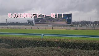 2023/02/19阪神4レース三歳新馬戦 フェリデビュー戦