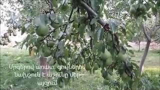 Վարդենիկ գետը համայնքում․ տեսաֆիլմ (մաս 1)