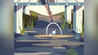 Marine Debris Tracker Tutorial