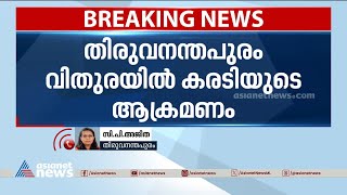 തിരുവനന്തപുരം വിതുരയിൽ കരടിയുടെ ആക്രമണം | Wild Bear attack