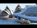 Ruby Princess senior doctor failed to account for sick crew member