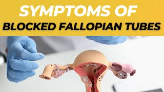 Symptoms of Blocked Fallopian Tubes And Treatment Options
