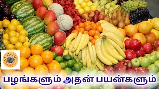 பழங்களும் அதன் பயன்களும் | Fruits and it's benefits tamil @OruNimishamSir