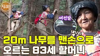 [특종세상] 높이 20m 나무를 맨손으로 오르는 83세 할머니 MBN 181005 방송 (#1/2)