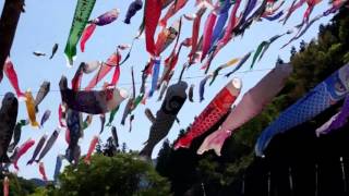 群馬県神流町「鯉のぼり祭り」　2016年4月30日