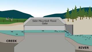 Side Mounted Gate - fish passage animation