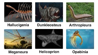 Every Strangest Extinct Creatures Ever Found Explained