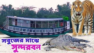 Largest Mangrove Forests Sundarban//বৃহত্তম ম্যানগ্রোভ বন//সুন্দরবন দেখতে কতটা সুন্দর? @ADYOPANTO