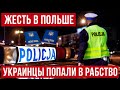 В Польшу приехали украинцы поработать и вот что получилось! Польша новости