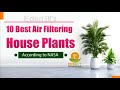 NASA Approved Houseplants for Improving Indoor Air Quality|10 Best Air Purifying Plants For The Home