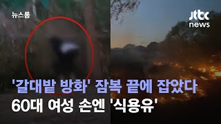 '갈대밭 방화' 잠복 끝에 잡았다…60대 여성 손엔 '식용유' / JTBC 뉴스룸
