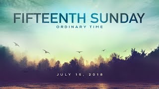 Weekend Reflection - Fifteenth Sunday in Ordinary Time