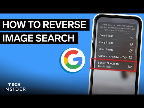 How to Use Google Reverse Image Search