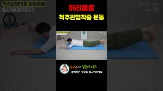 척추관협착증에 좋은운동 | 미친효과!  허리통증 사라지고 척추관협착증에 좋은 운동| 브레인트레이너 이교수의 힐링가이드 #척추관협착증 #허리통증없애는방법