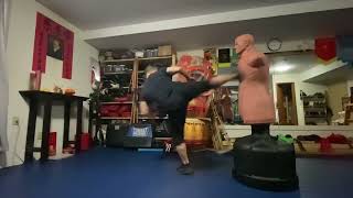 XinHui choy lee fut Kungfu 新会蔡李佛