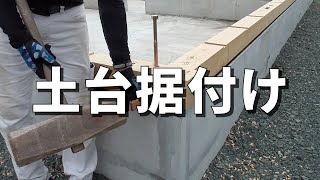 【大工仕事】新築。土台の据付け