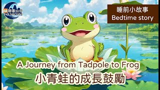 【原創中英兒童故事 | 成長困惑】A Journey from Tadpole to Frog-小青蛙的成長鼓勵 #幼兒睡前故事有聲書 #聽故事學英文 #聽故事學中文 #bedtimestories