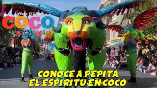COCO PEPITA EN DISNEYLAND EL ESPIRITU ALEBRIJE DE ISMELDA DE DISNEY PIXAR COCO 😍❤