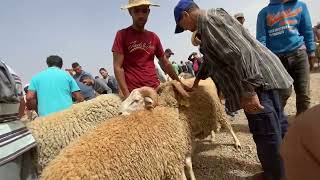 دخلو شوفو معانا ثمان الحولي فسوق الأربعاء وجدةمتنساوش لايك خوتي الله يسهل عليكم