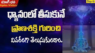 Day 15|యోగీ భవ|ధ్యానంలో వచ్చే ప్రాణ శక్తి గురించి తెలుసుకుందాం | What is cosmic energy | Ramu Master