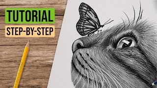 How To Draw a Realistic Cat with a Butterfly Drawing / cat and butterfly drawing