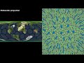 hyperbolic analogs of spherical projections