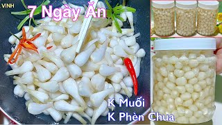 Rất Đặc Biệt CỦ KIỆU NGÂM ĐƯỜNG Giòn Rụm Trắng Tinh K Muối, K Phèn Chua- Pickled small leeks
