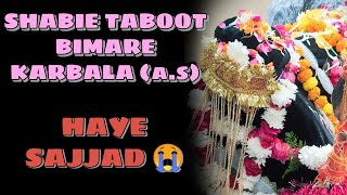 Shabie Taboot Bimare Karbala 😭 | Mohammadi Hall | Ghaziabad Azadari