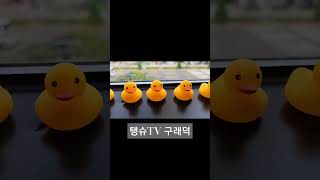 김포 구래덕 구래동 구래역 맛집 오리고기 전문점 오리로스 오리주물럭 #shorts