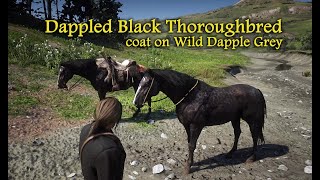 Dappled Black Thoroughbred coat on a Wild Dapple Grey - RDR2