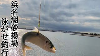 【浜名湖釣り】🎣現在浜名湖砂揚場にて良きサイズのアジが釣れてます🐟ナブラも発生中！！