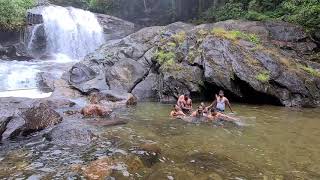 new year celebration in munnar