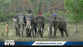 അരിക്കൊമ്പൻ ദൗത്യം നീണ്ടതോടെ സാമ്പത്തിക ബാധ്യതയും വർധിച്ചു; സർക്കാർ ഇതുവരെ ചെലവഴിച്ചത് 15 ലക്ഷം